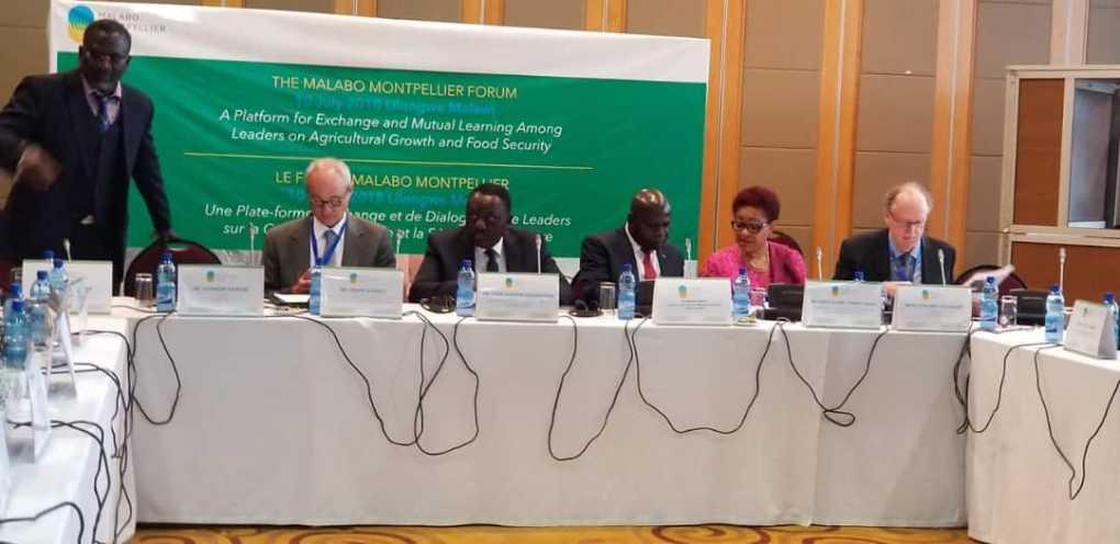 Second Malabo Montpellier Forum official opens in Malawi; women, youth empowerment on the agenda