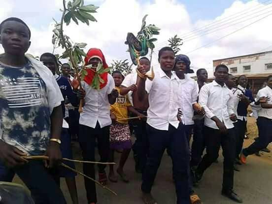 Malawi’s Ntchisi Secondary School students protest against failure to study science subjects