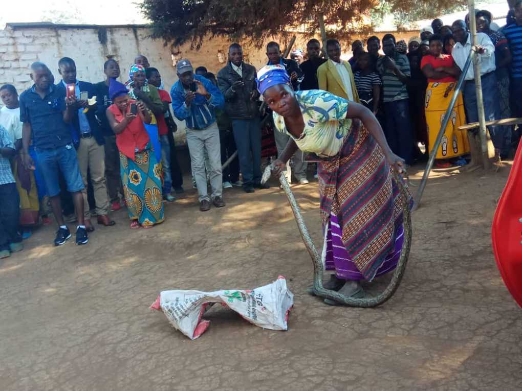 Bizarre: Malawi’s Dedza hospital guardian arrested for keeping snake