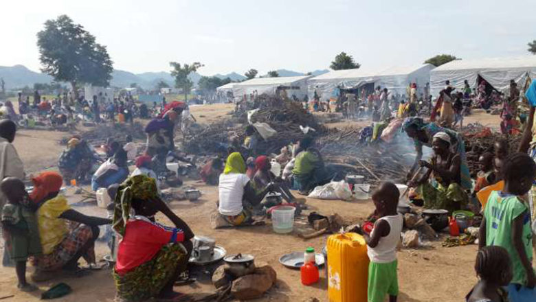 Nigerian Refugees Fleeing to Cameroon Cannot Be Sent Back