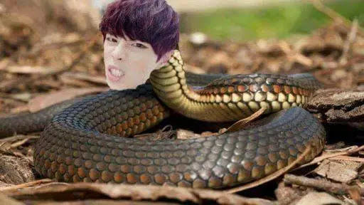 SHOCKING!! Nigerian undergraduate student turns female colleague into snake for money rituals using black magic 