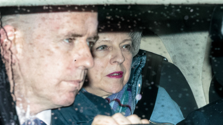 ‘Bollocks to Brexit’ protester leaps in front of Theresa May’s motorcade in Brussels 