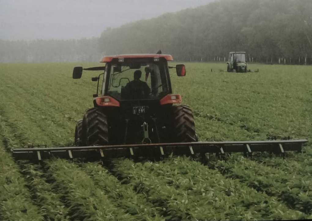 Can Malawi learn from China’s transformation agriculture development?