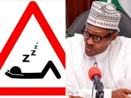 Nigerian President Buhari speaks on sleeping on duty as Commander-In-Chief