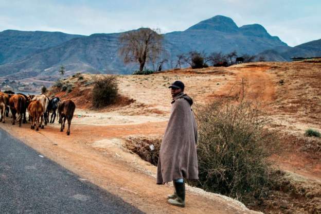 Lesotho mohair farmers protest over Chinese monopoly