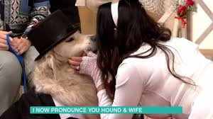 Bizarre: Lady gets married to dog on live TV show