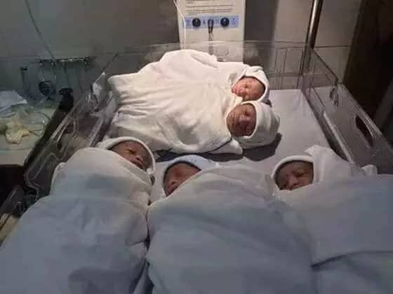 Awesome: Ghanaian woman gives birth to quintuplets after 20 years at 45