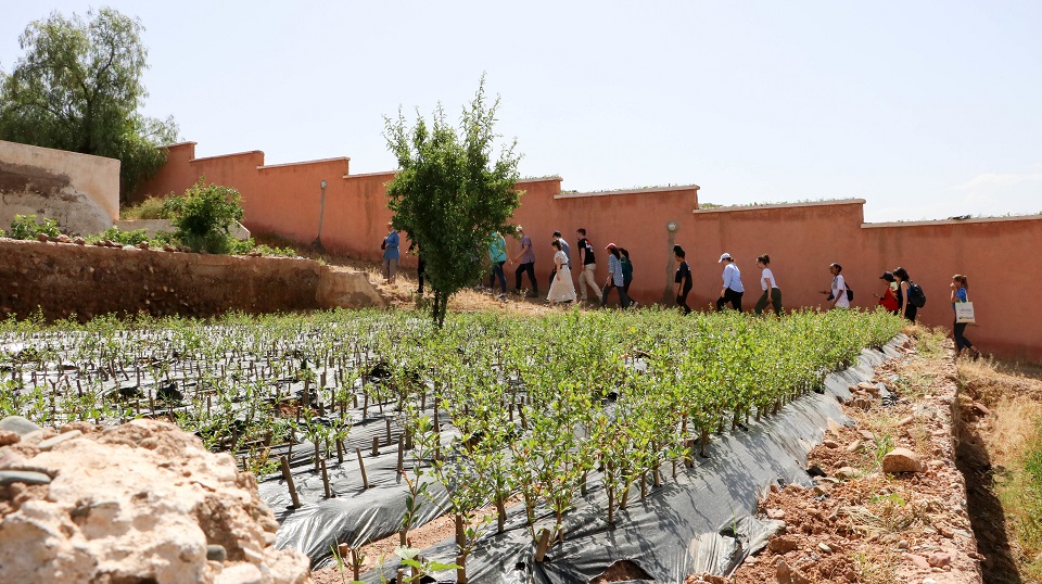 In Morocco difference is a strength