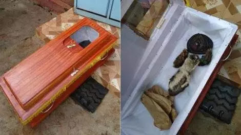 Kenyan man wakes up to find coffin with dead snake on his doorstep