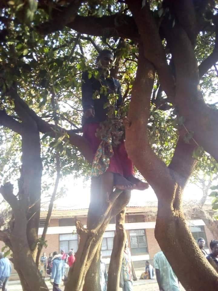 Malawi’s Mangochi man commits suicide over MK0.5m village bank debt