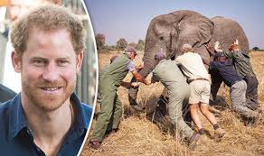 Britain’s Prince Harry gets in Malawi
