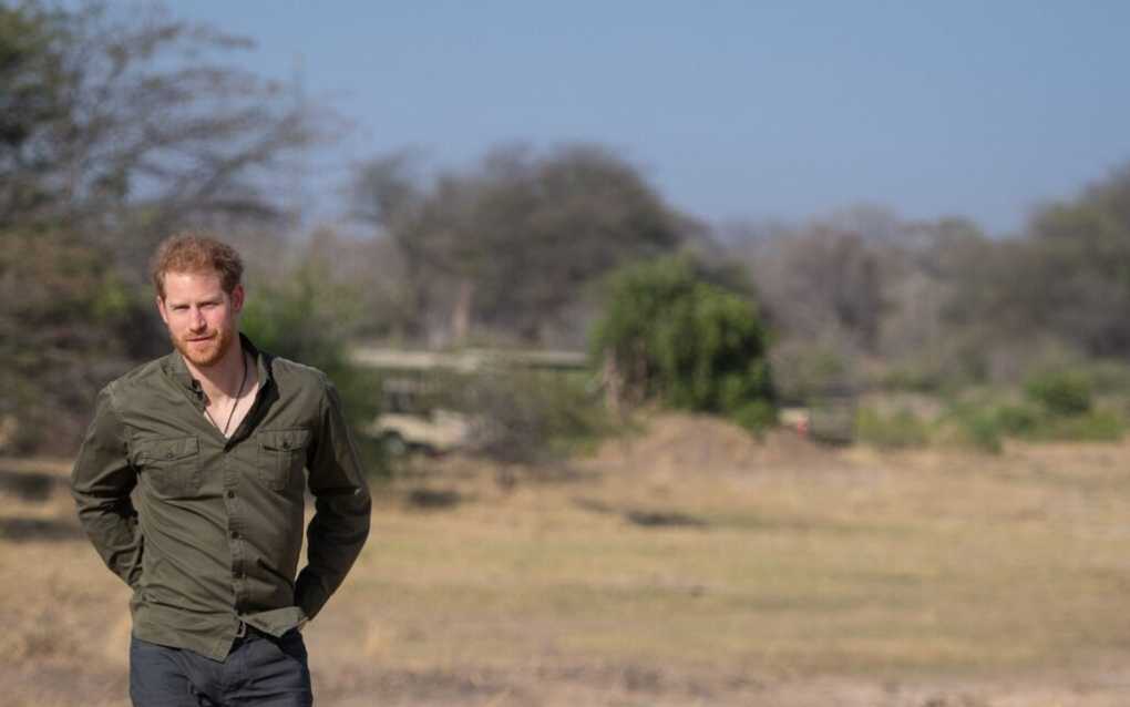 British Paper trying to use Harry’s Visit to Malawi to sow divisions