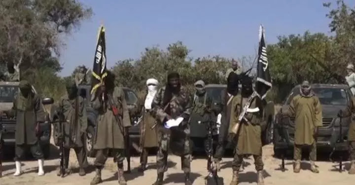 Nigerian army rescues eight people from Boko Haram