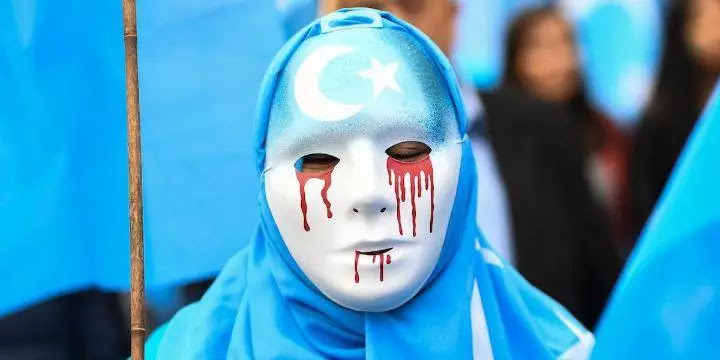 China is harvesting thousands of human organs from its Uighur Muslim minority, UN human rights body hears