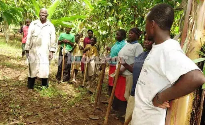 Bizarre: 94-year Ugandan father of 100 marries four more wives