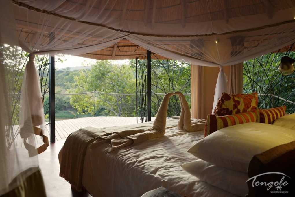 Tourism: Tongole rebrands as Tongole Wilderness Retreat