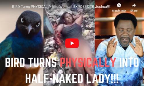 VIDEO: Bird Turns Into Half-Naked Woman, Exposes TB Joshua!