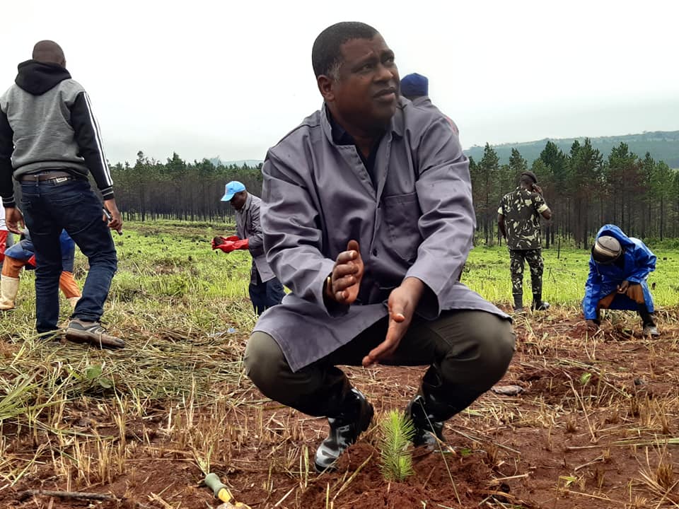 Four Ministers plant trees in Chikangawa forest