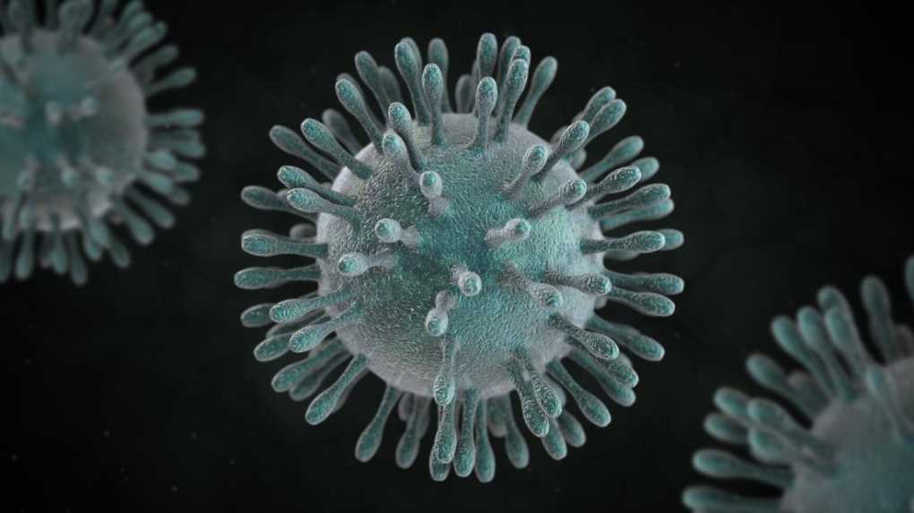 The Coronavirus and the Efficacy of the SCOAN Anointed Water