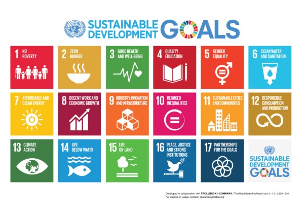 Africa: Beyond policy and public investment: the SDG imperative for business