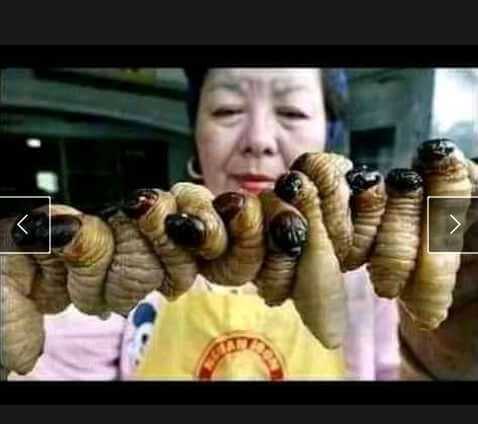 Why the Chinese have the Corona virus in abundance…See what they eat
