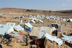 Coronavirus will decimate refugee communities if we don’t act now