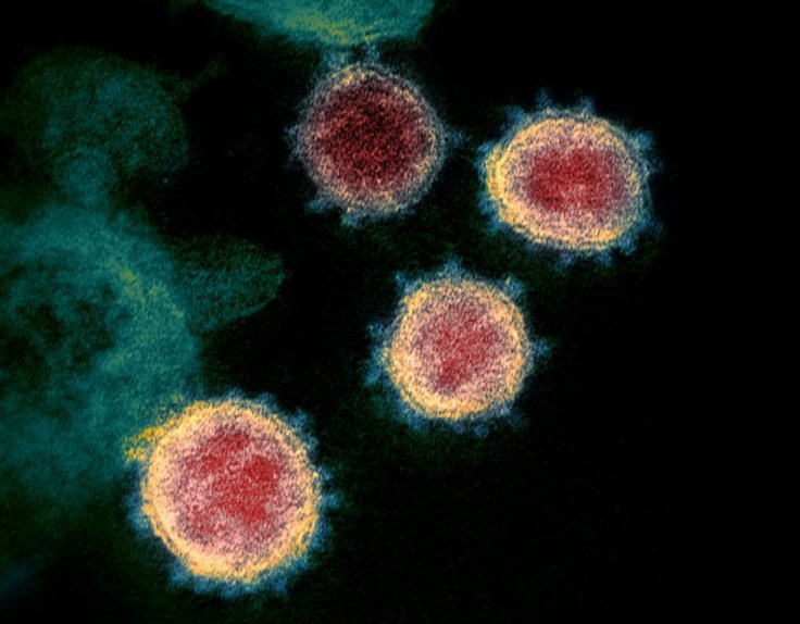 No sigh of relief! China registers another new Hantavirus outbreak death amid COVID-19…. What is Hantavirus?