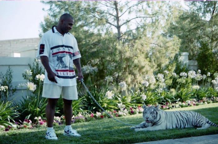 Mike Tyson Confesses it was foolish to domesticate Tigers