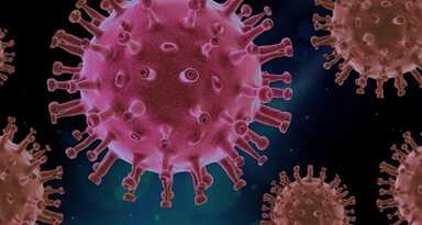 New Zealand declared ‘virus-free’ after triumph over Covid-19 pandemic