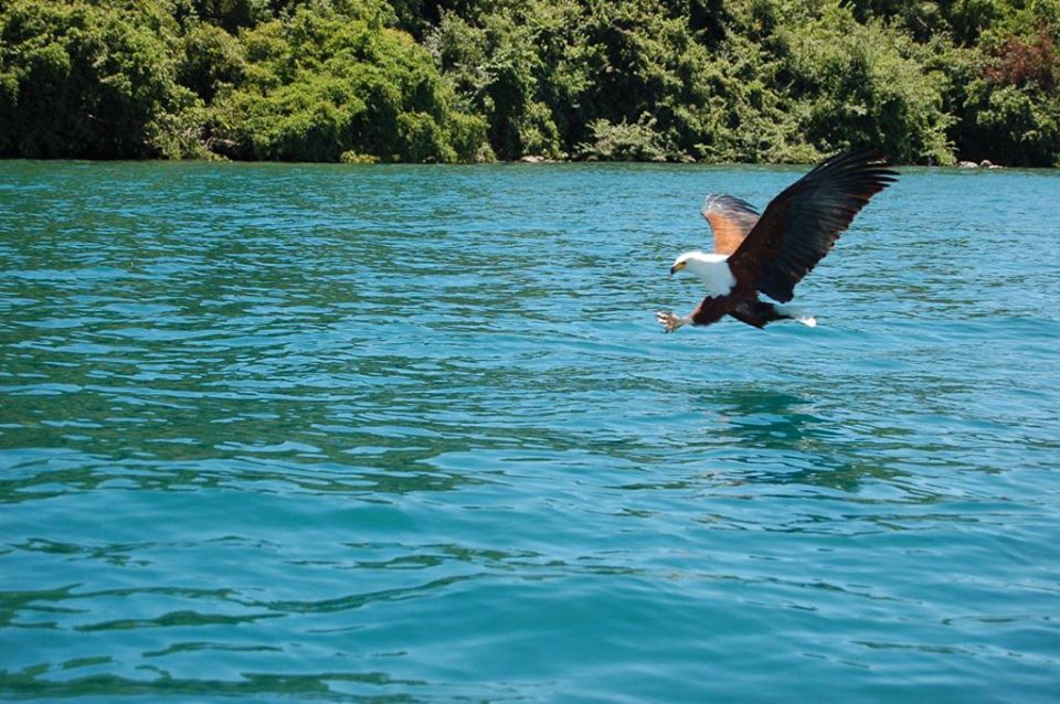 Lake Malawi hits highest water level in a decade
