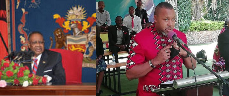 Z Allan Ntata’s Uncommon Sense: The President, His Vice, and The Virus