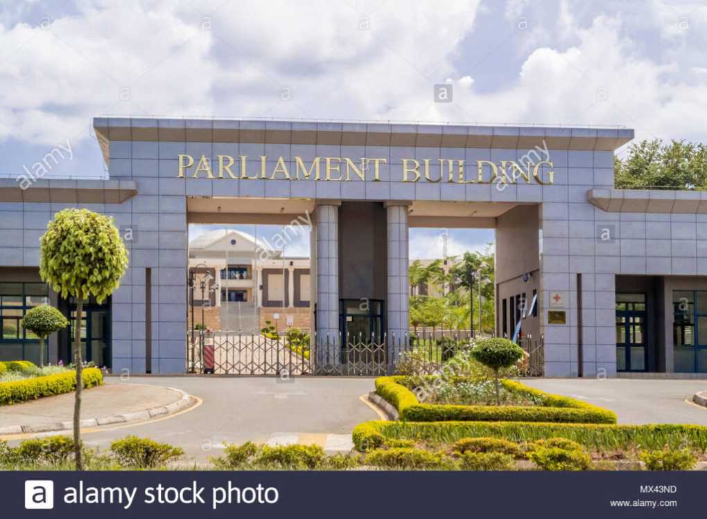 Malawi Parliament thief Mphatso Mwale jailed three years