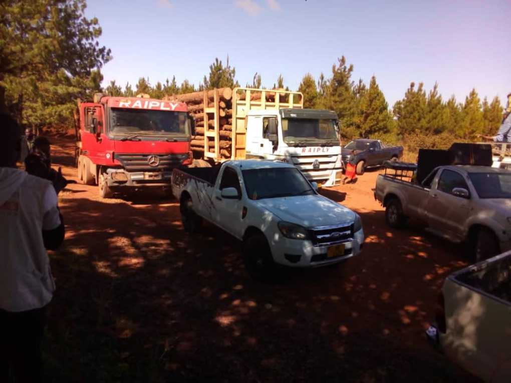 Malawi’s Reformed Timber millers Union blocks Raiply from transporting wood
