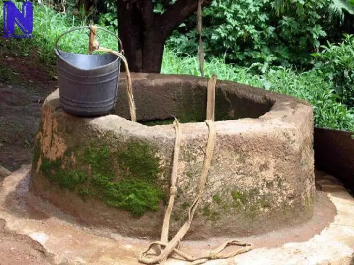 Nigerian woman throws husband’s two children into well