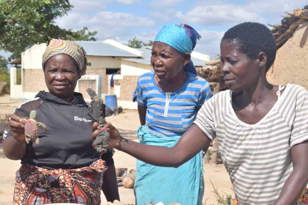 Alleged Witches in Malawi: From State Prisons to Sing’anga Prisons