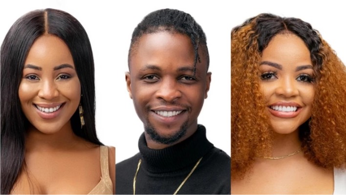 #BBNaija lockdown: Laycon, Nengi, Erica now the most liked, searched housemates on internet