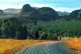 Raiply Malawi loses business due to ESCOM’s importation of electricity poles