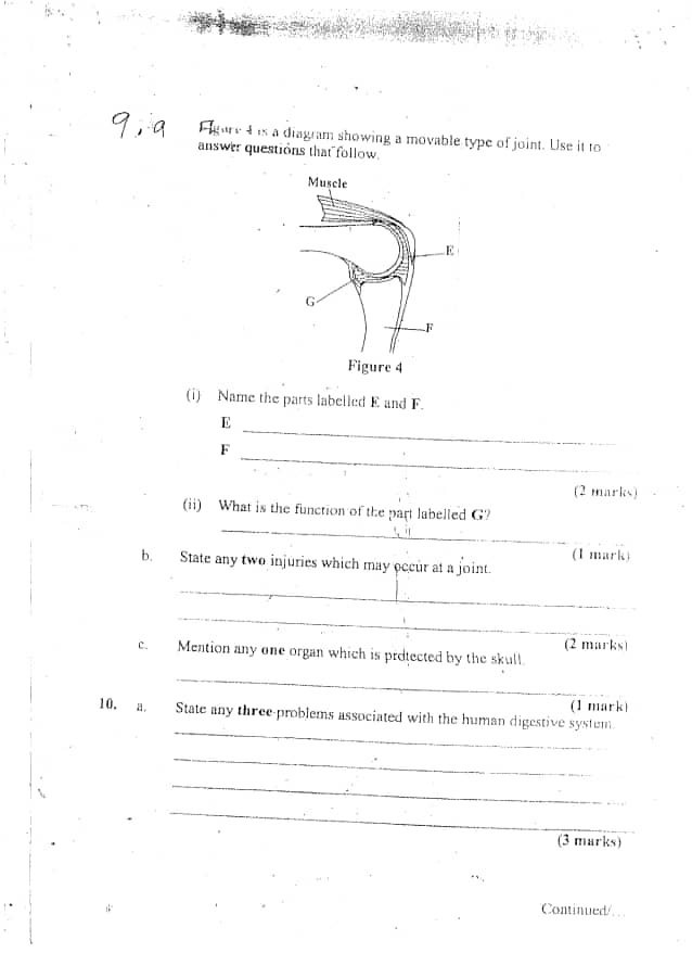 HRDC demand Malawi exams body boss Chiunda’s resignation over canceled 2020 M.S.C.E paper