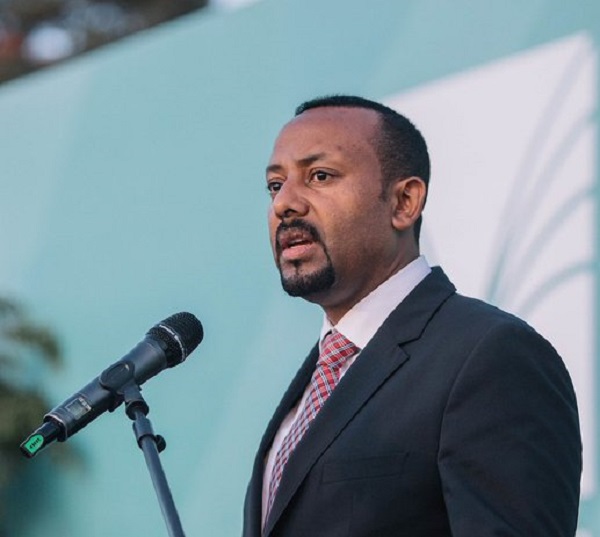 Ethiopia PM rejects foreign interference in Tigray crisis