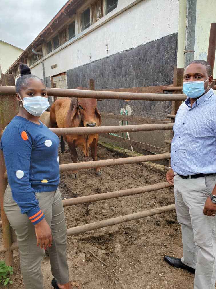 Malawi’s deputy lands minister Abida Mia donates bull for meat to Quech towards Covid-19 fight