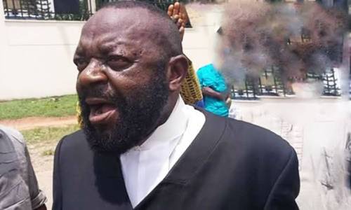 The Attorney-General Is Wrong On Open Grazing By Aloy Ejimakor