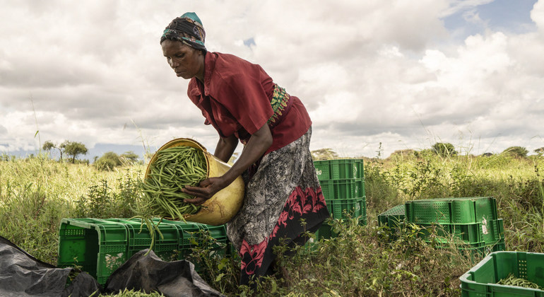 Conflict, climate change, COVID, forces more people into hunger