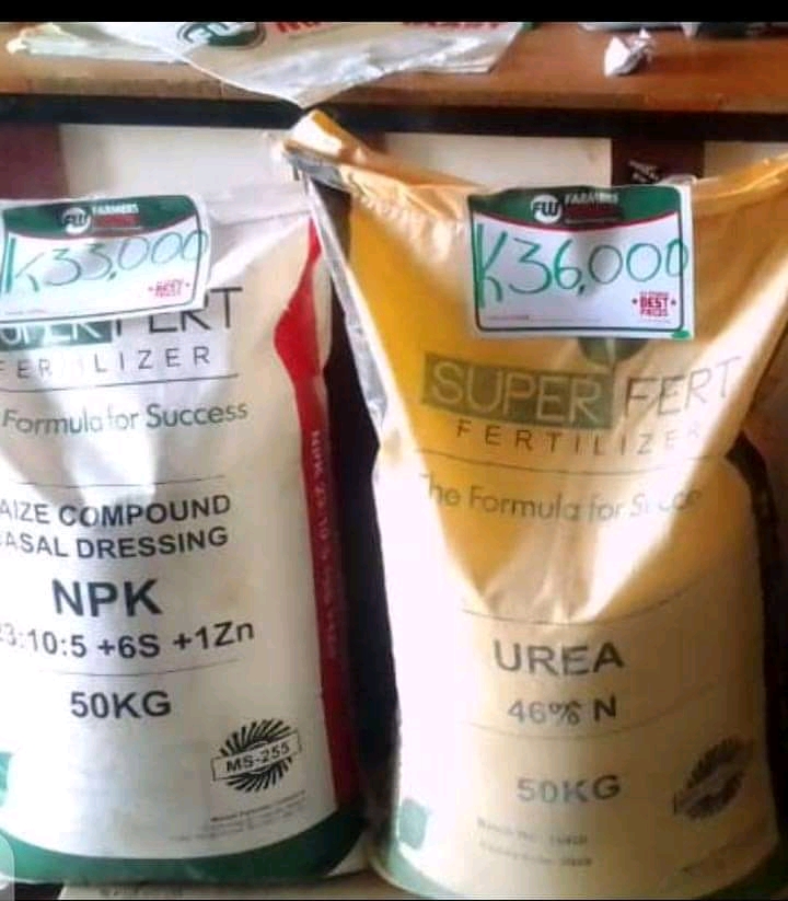 Chakwera’s doomed Canaan! Helpless to contain fertilizer’s prices soaring: Pegged at MK36,000 per 50kg