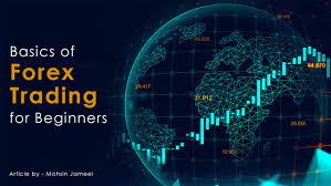 How to Trade Forex Strategically in South Africa