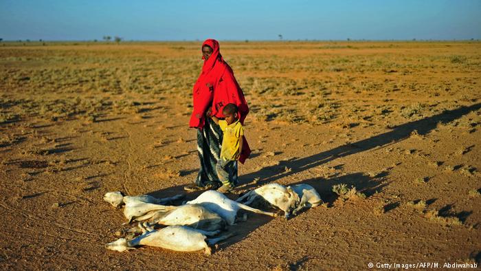 The world has the resources to end hunger