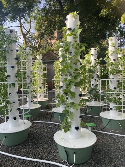 Hydroponics and Vertical Farming in Morocco and the World