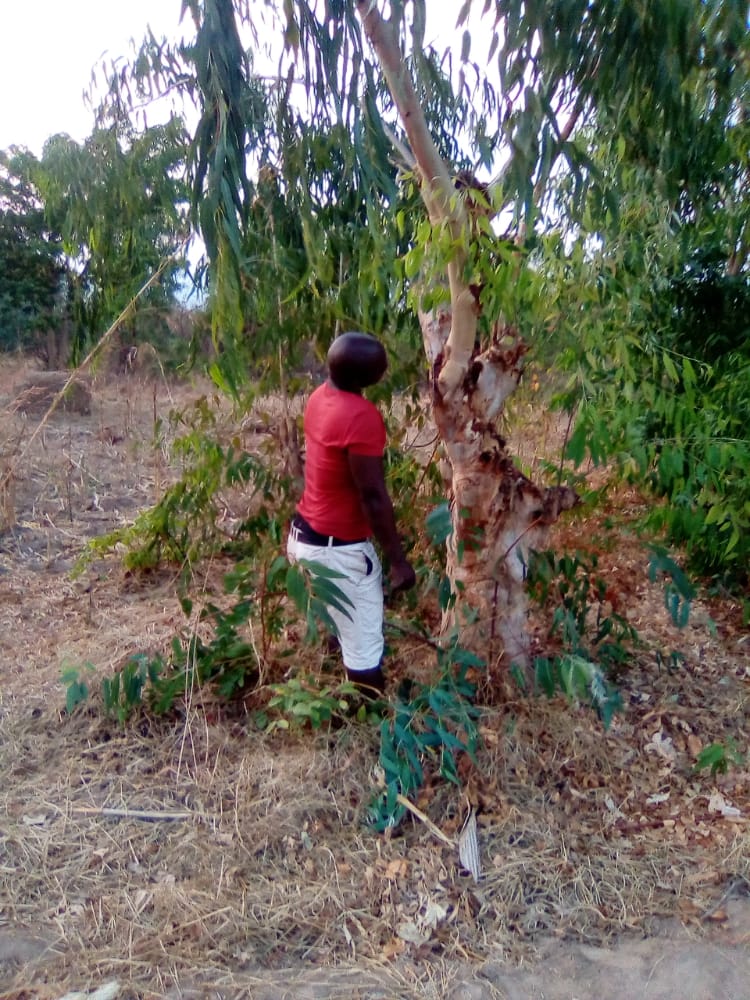 Malawi’s Rumphi headteacher Newton Mabaso commits suicide