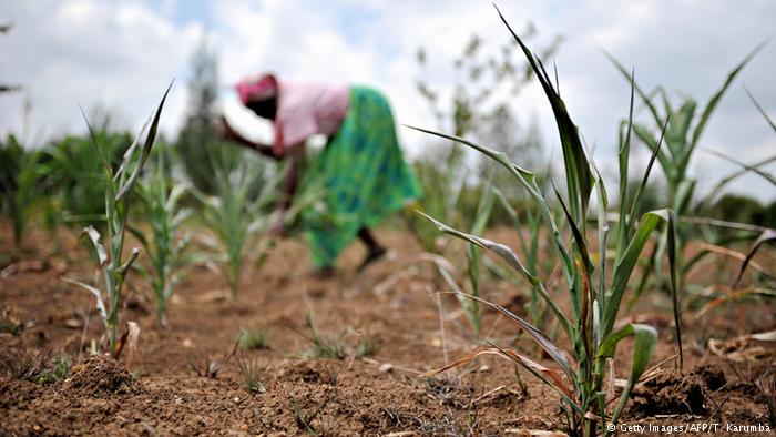 Majority across G20 countries see Climate change as crisis