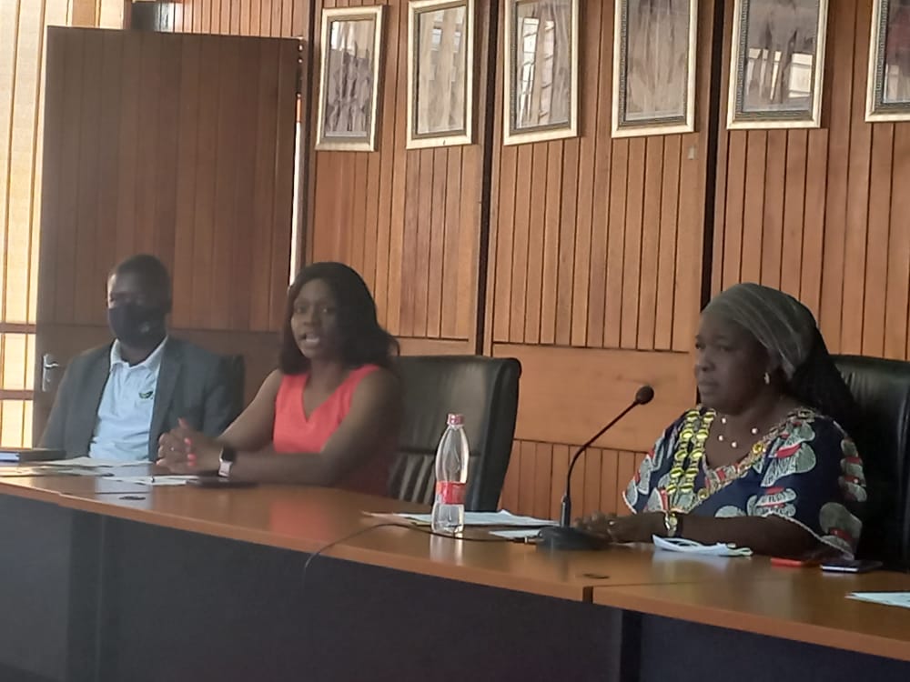 Lilongwe City council into ambitious greening campaign
