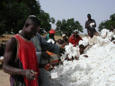 Malawi Farmers under-utilizing Chinese funded Cotton ginneries
